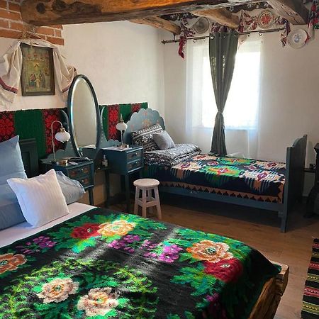 Casa Cezara Apartment Silvasu de Jos Екстериор снимка