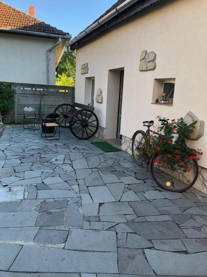 Casa Cezara Apartment Silvasu de Jos Екстериор снимка