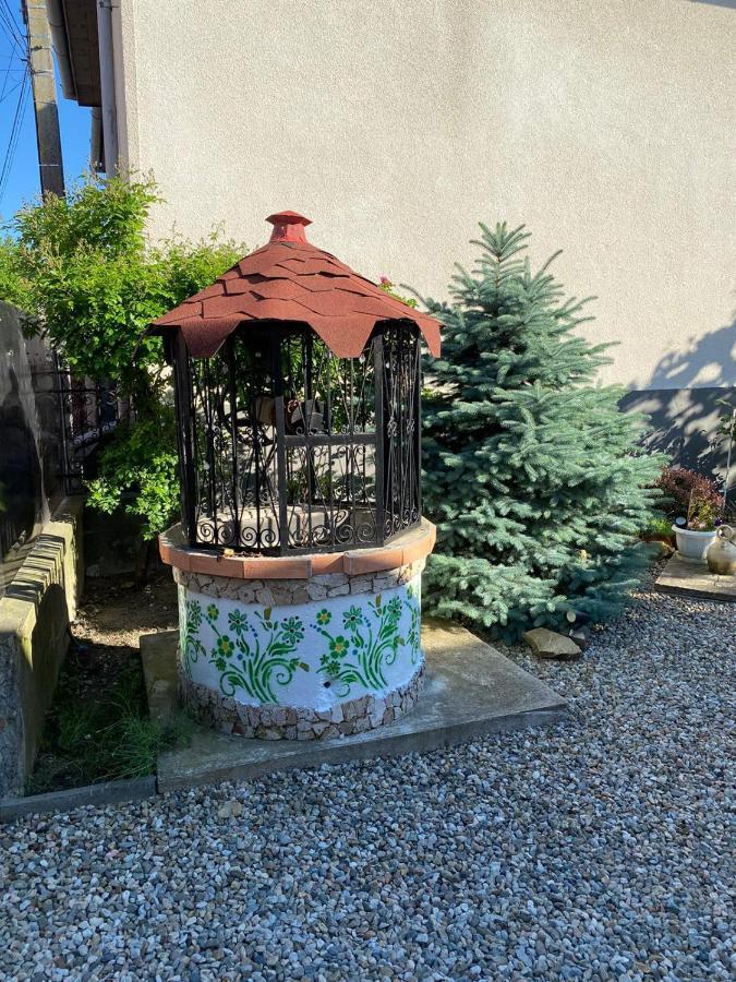 Casa Cezara Apartment Silvasu de Jos Екстериор снимка