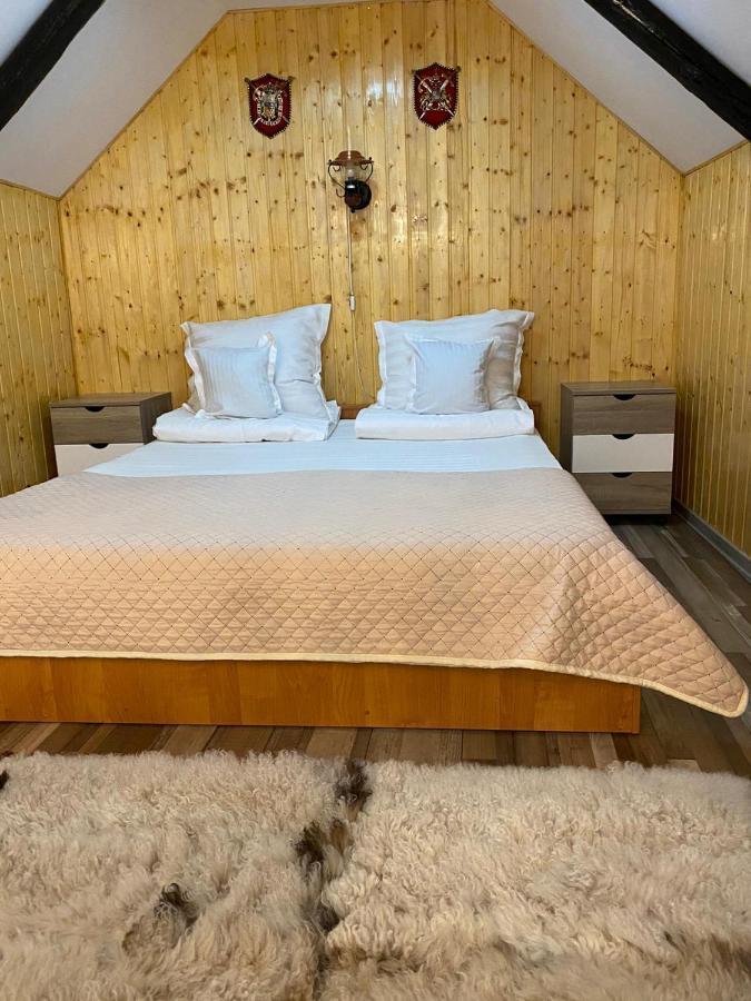 Casa Cezara Apartment Silvasu de Jos Екстериор снимка