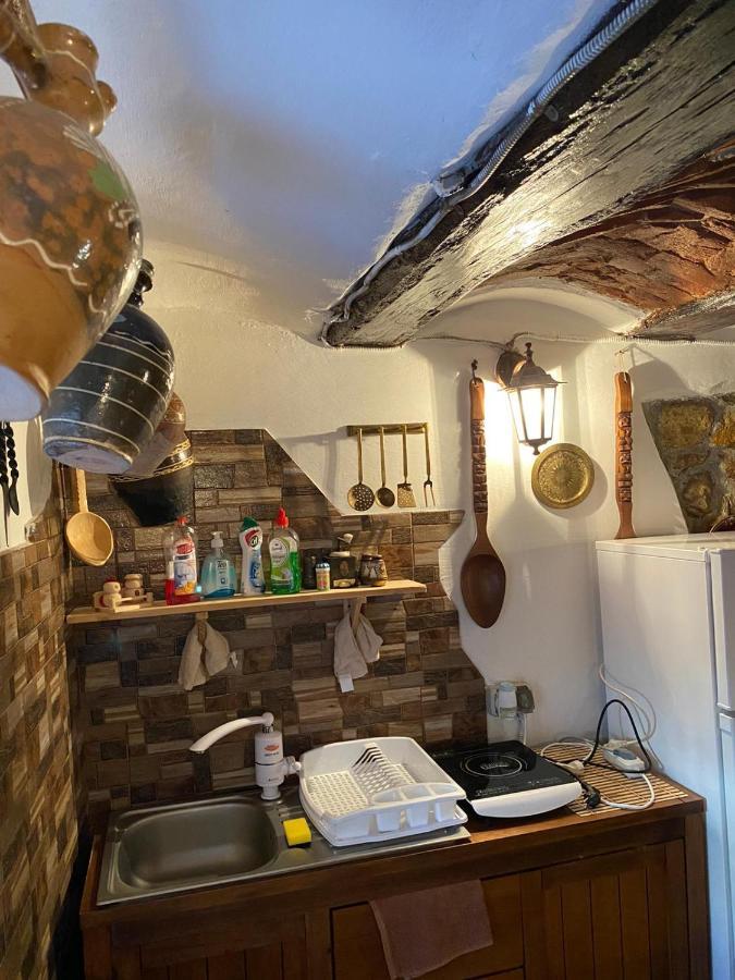 Casa Cezara Apartment Silvasu de Jos Екстериор снимка