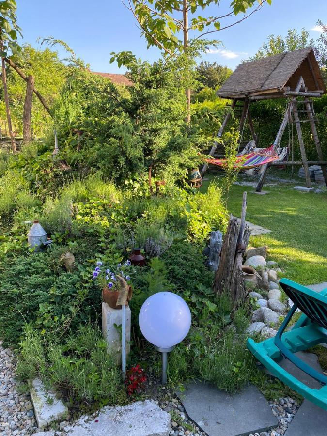 Casa Cezara Apartment Silvasu de Jos Екстериор снимка
