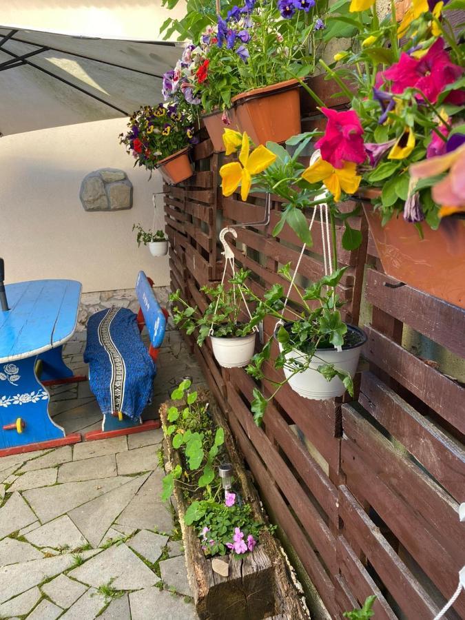 Casa Cezara Apartment Silvasu de Jos Екстериор снимка