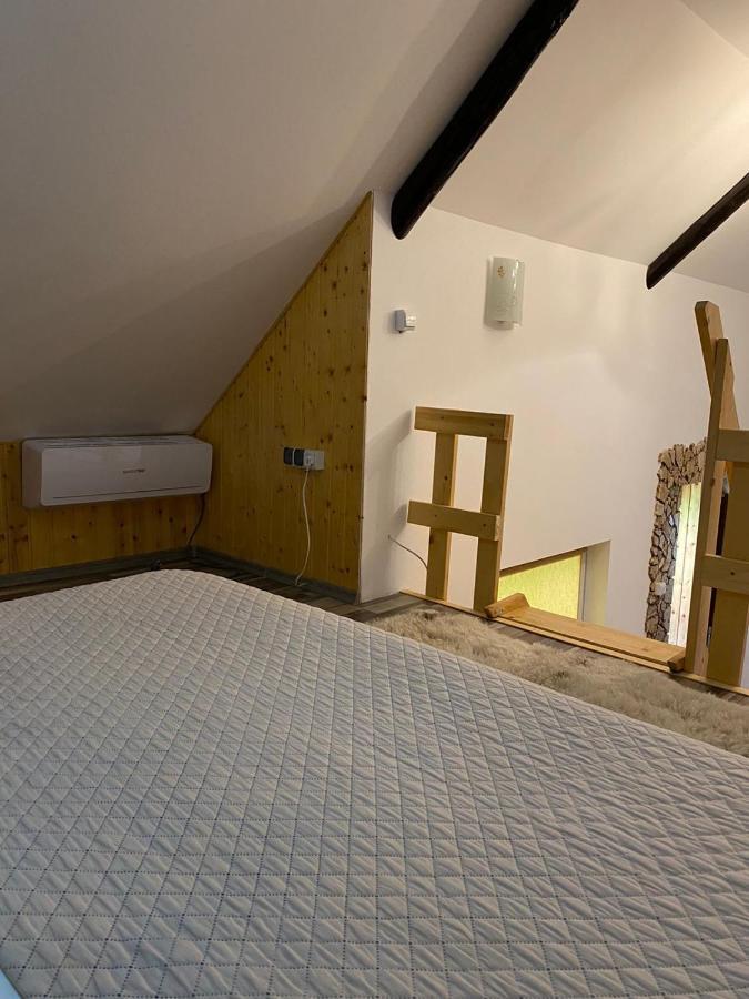 Casa Cezara Apartment Silvasu de Jos Екстериор снимка