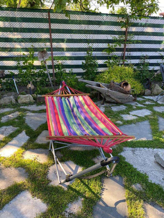 Casa Cezara Apartment Silvasu de Jos Екстериор снимка