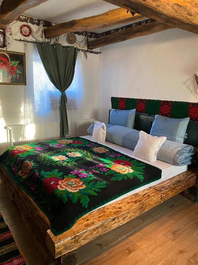 Casa Cezara Apartment Silvasu de Jos Екстериор снимка