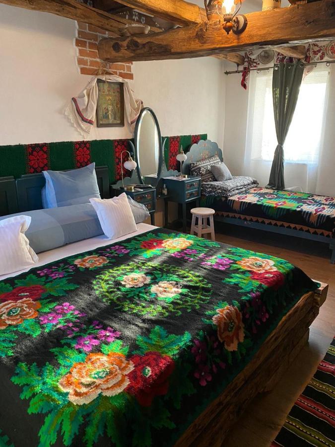 Casa Cezara Apartment Silvasu de Jos Екстериор снимка