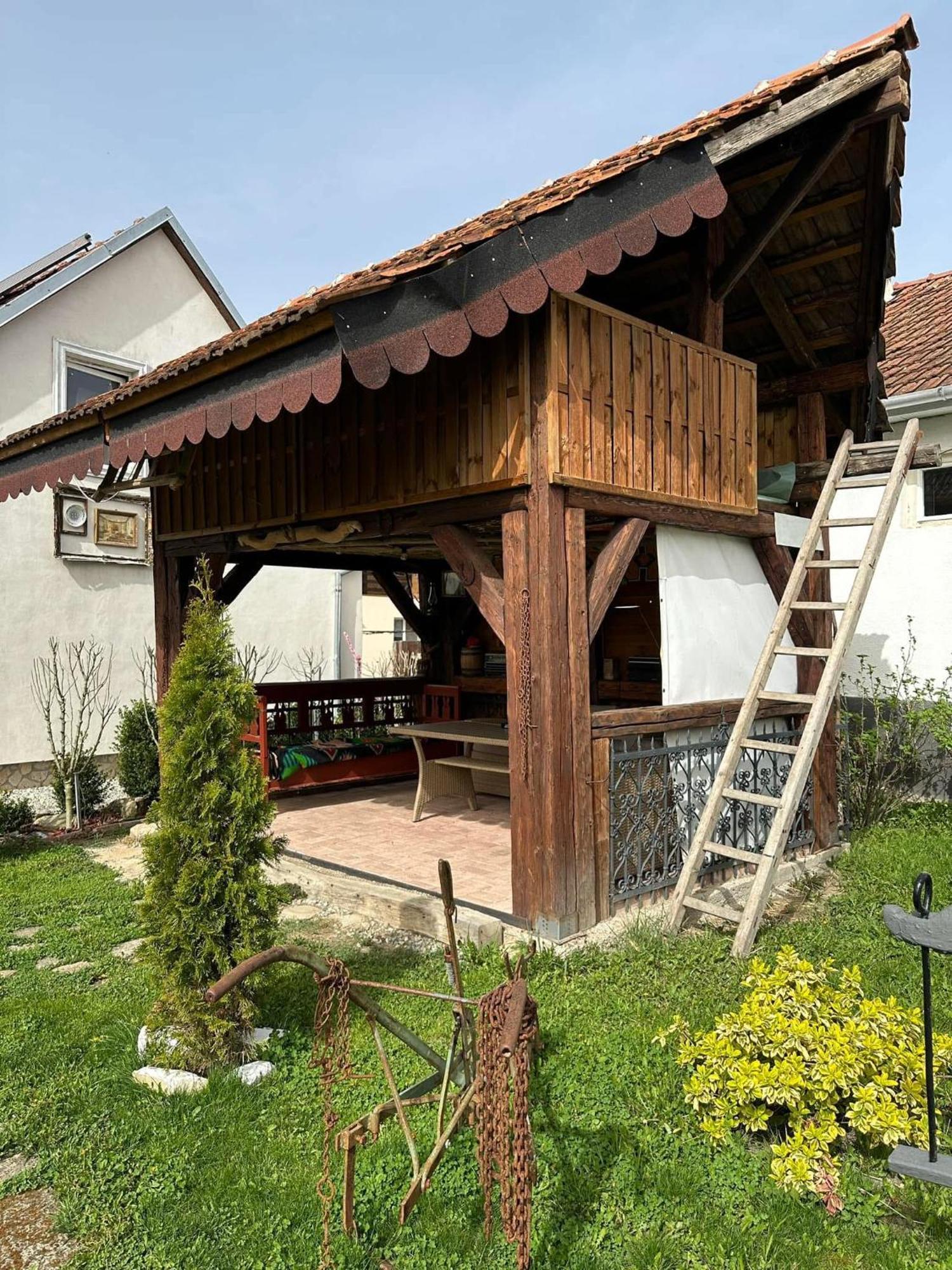 Casa Cezara Apartment Silvasu de Jos Екстериор снимка