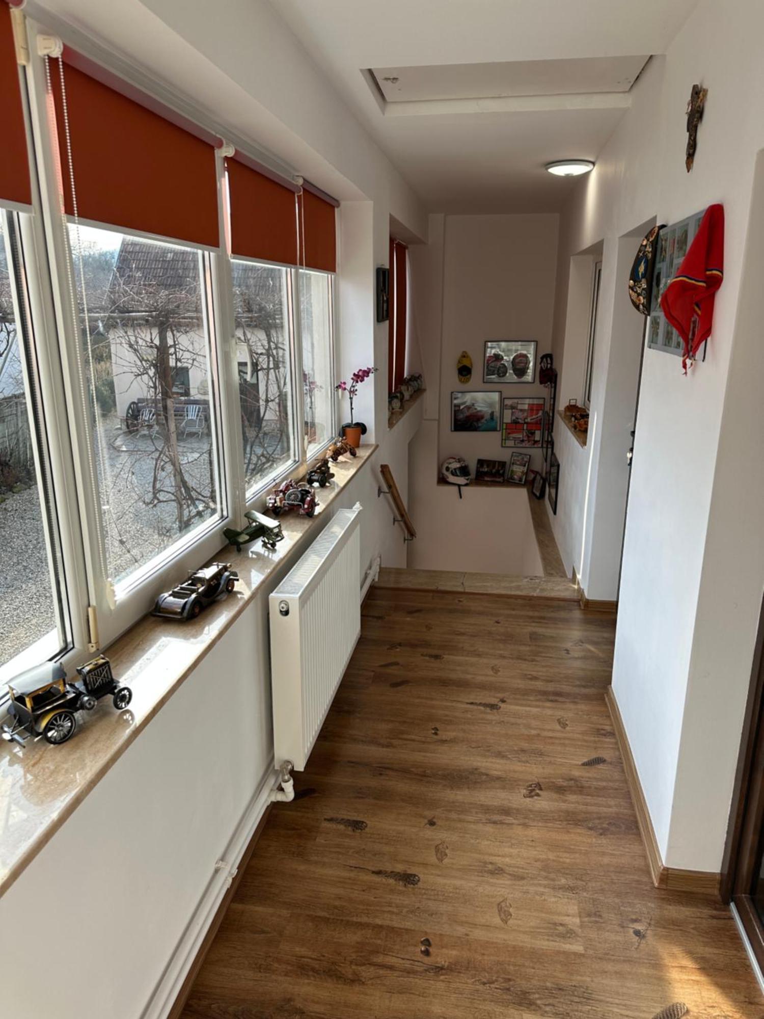 Casa Cezara Apartment Silvasu de Jos Екстериор снимка