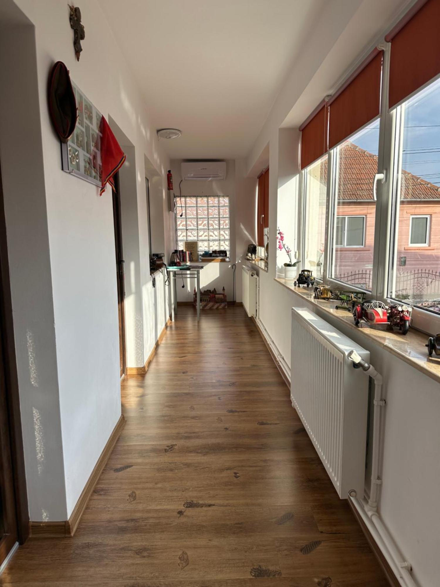 Casa Cezara Apartment Silvasu de Jos Екстериор снимка