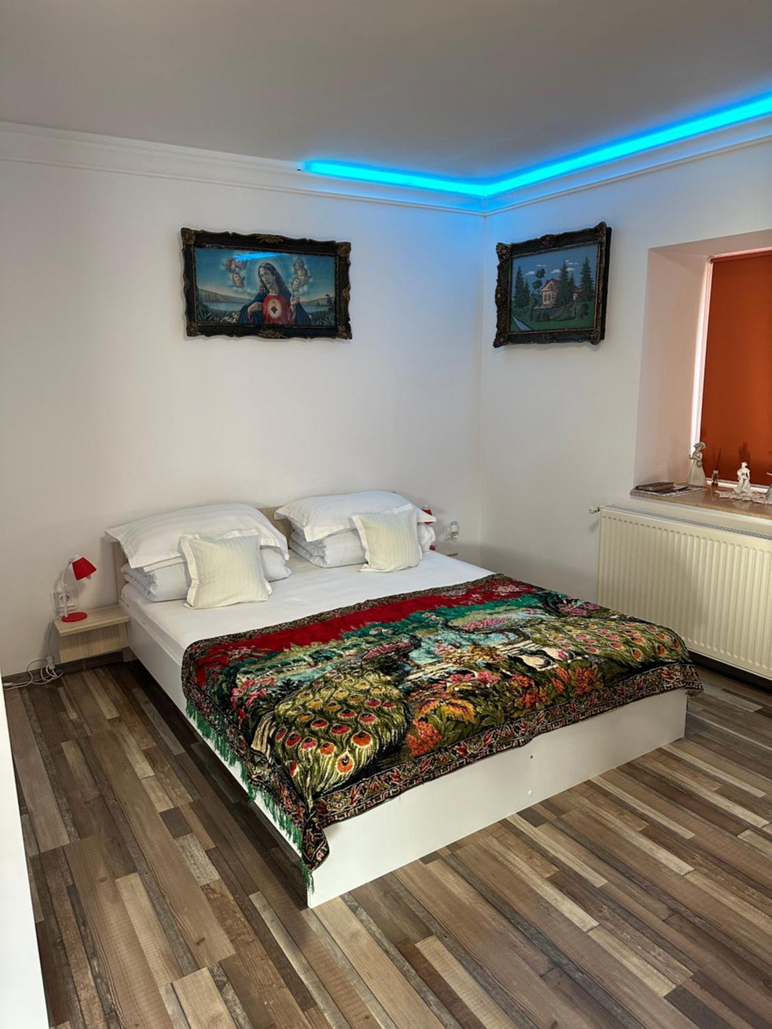 Casa Cezara Apartment Silvasu de Jos Екстериор снимка