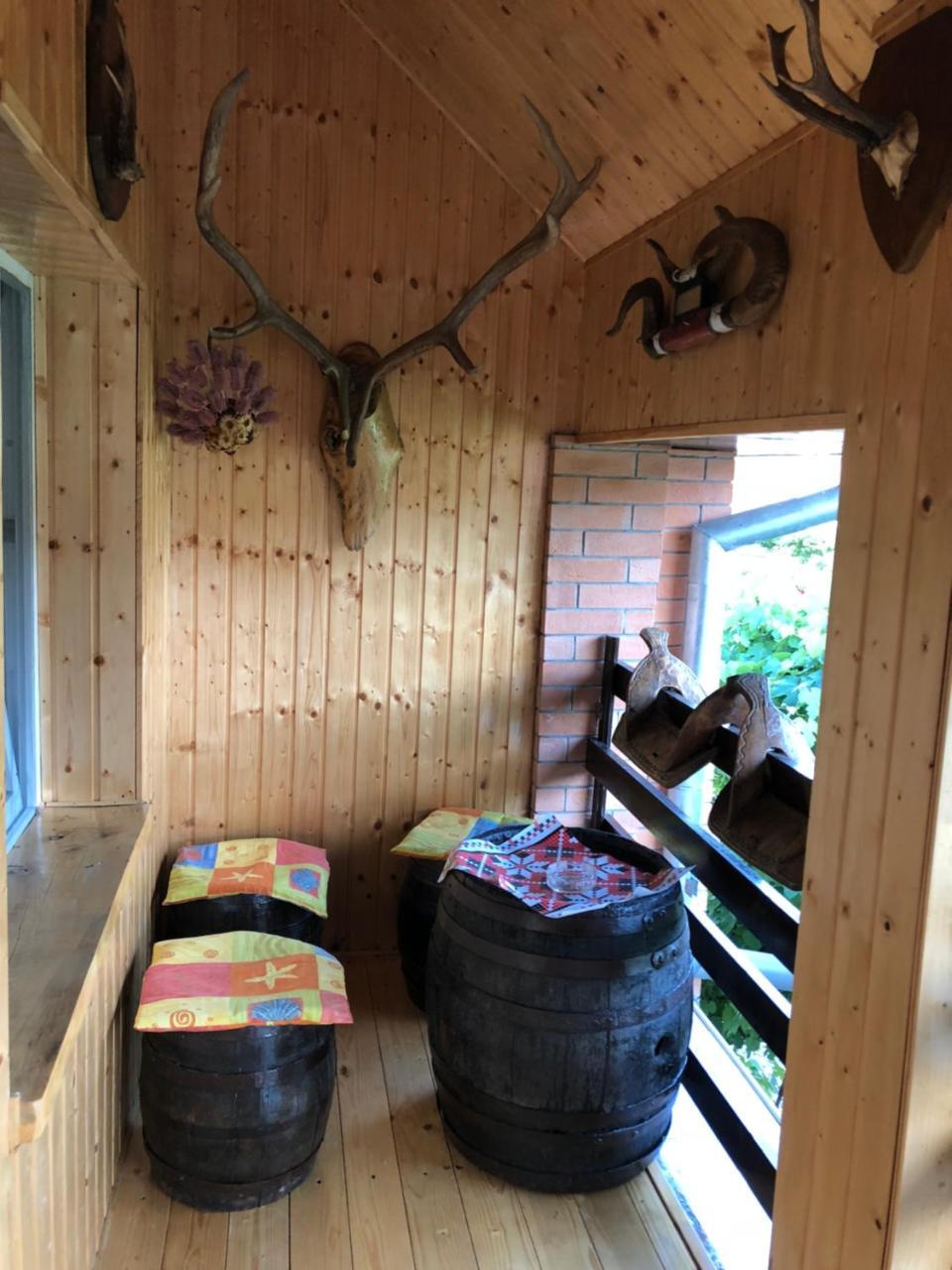 Casa Cezara Apartment Silvasu de Jos Екстериор снимка