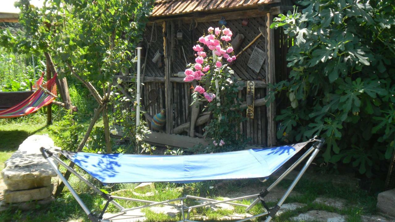 Casa Cezara Apartment Silvasu de Jos Екстериор снимка